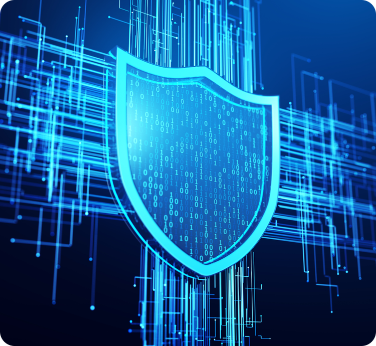 Blue Shield Security Image